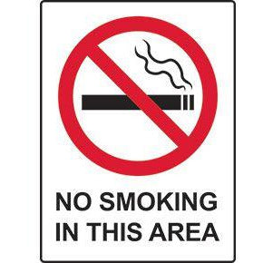 No Smoking Area Sign (600x450mm)